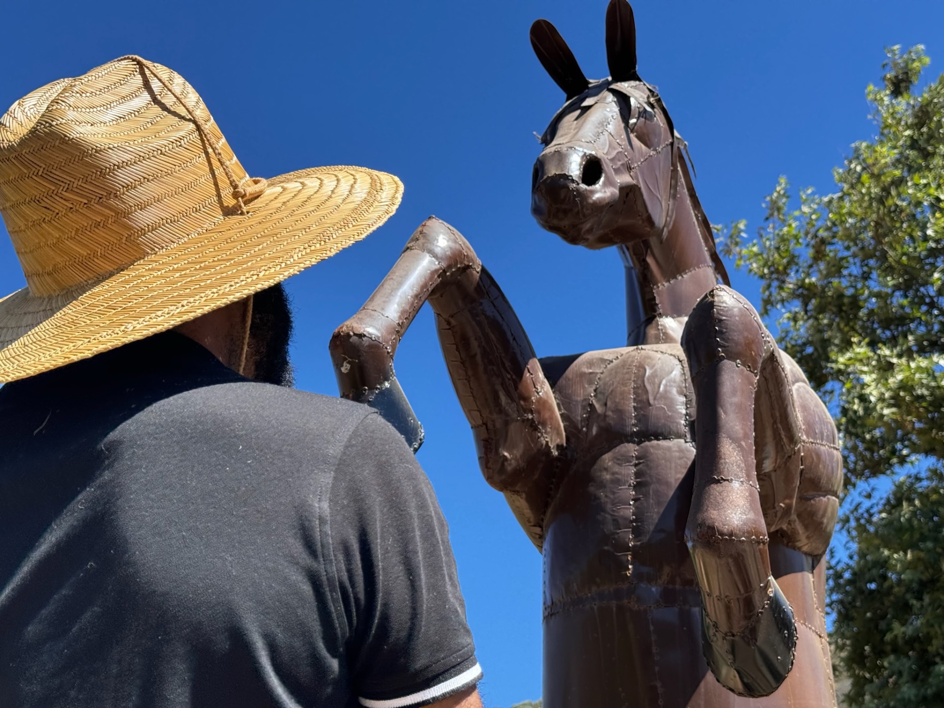 Director Jovon Dizard studies the horse statue on the ranch — a sibling of the famed Denver Airport blue mustang.